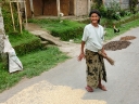 ubud (62)